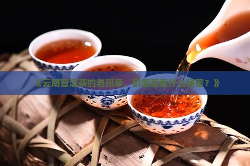 云南普饵茶老班章