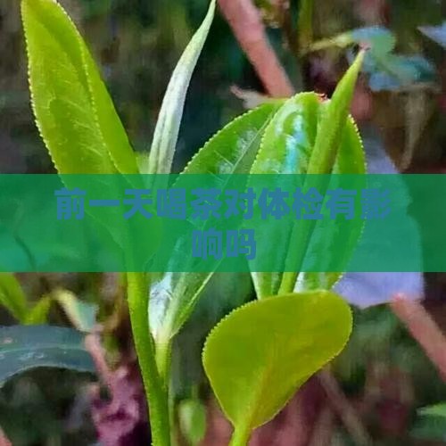 凌晨喝普洱茶影响体检吗