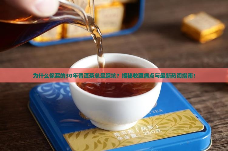 30年普洱茶购买指南