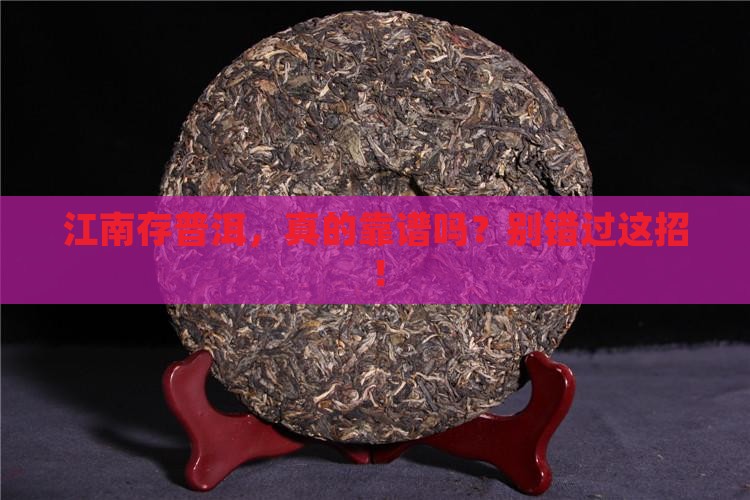 江南地区普洱茶存放