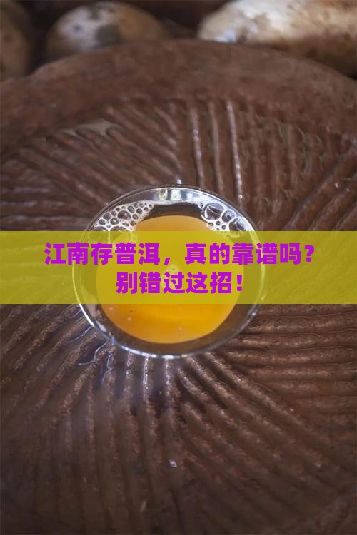 江南地区普洱茶存放