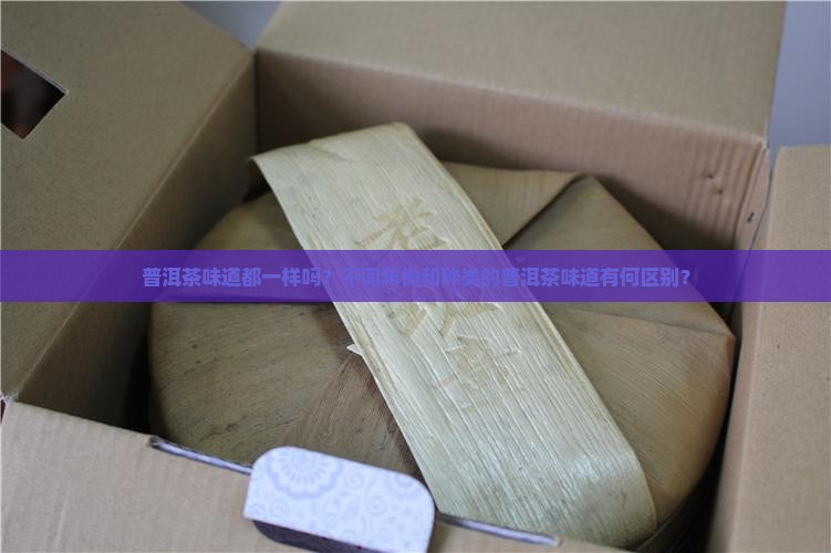 普洱茶味道都一样吗