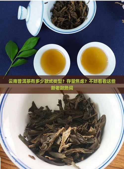 云南普洱茶有多少款式类型