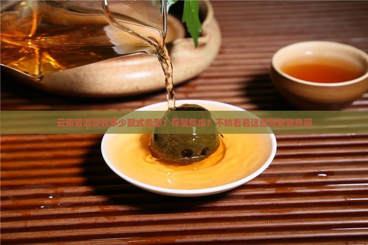 云南普洱茶有多少款式类型