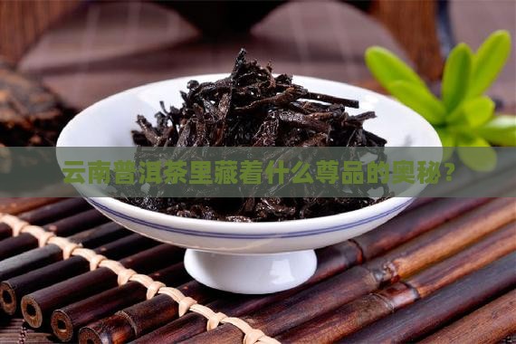 云南普洱茶有尊品吗
