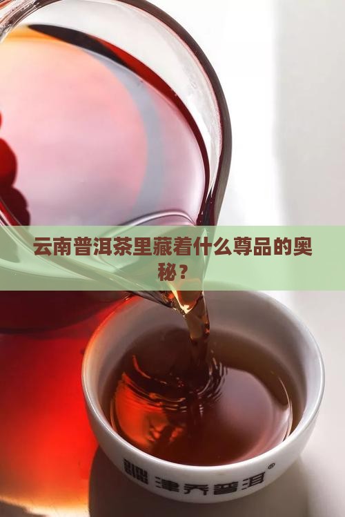 云南普洱茶有尊品吗