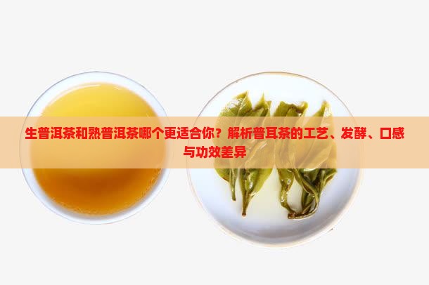 生普洱茶和熟普耳茶哪个好