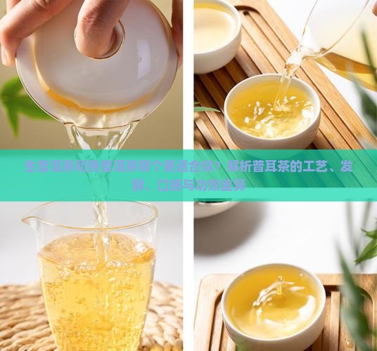 生普洱茶和熟普耳茶哪个好