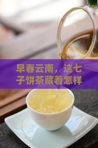 云南早春乔木七子饼茶