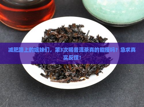 普洱茶选减肥推荐的