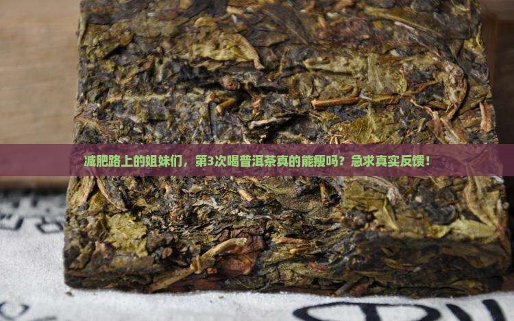 普洱茶选减肥推荐的
