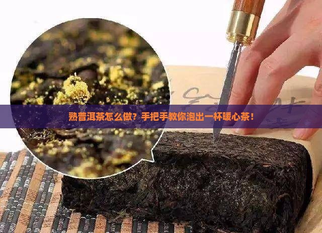 怎样做熟普洱茶