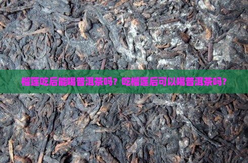 榴莲吃后能喝普洱茶