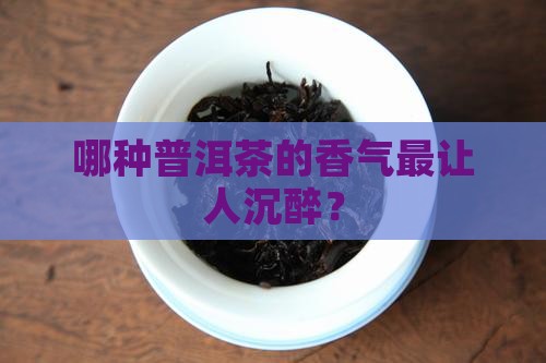 普洱茶香气最浓是什么茶
