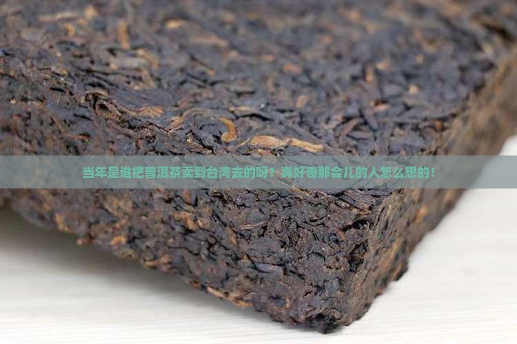 早年出口台湾普洱茶的人是谁