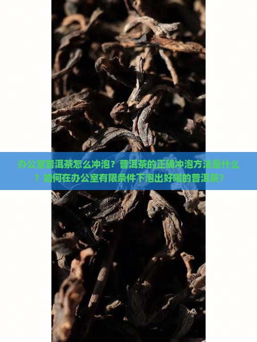 办公室普洱茶怎么冲泡