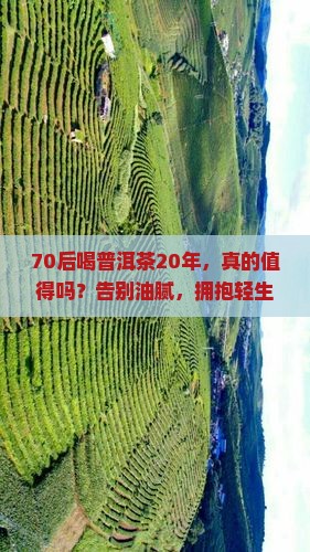 70后喝普洱茶20年