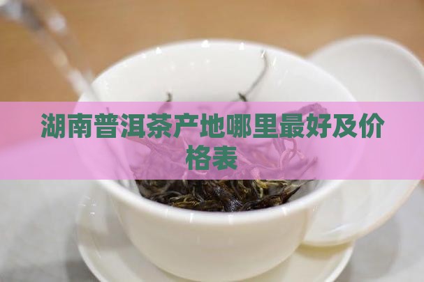 湖南普洱茶产地