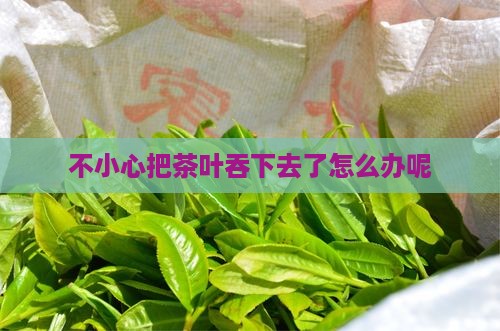不小心把茶叶吞下去了怎么办