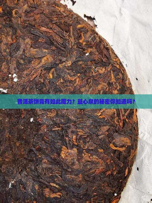 普洱茶饼益心泉