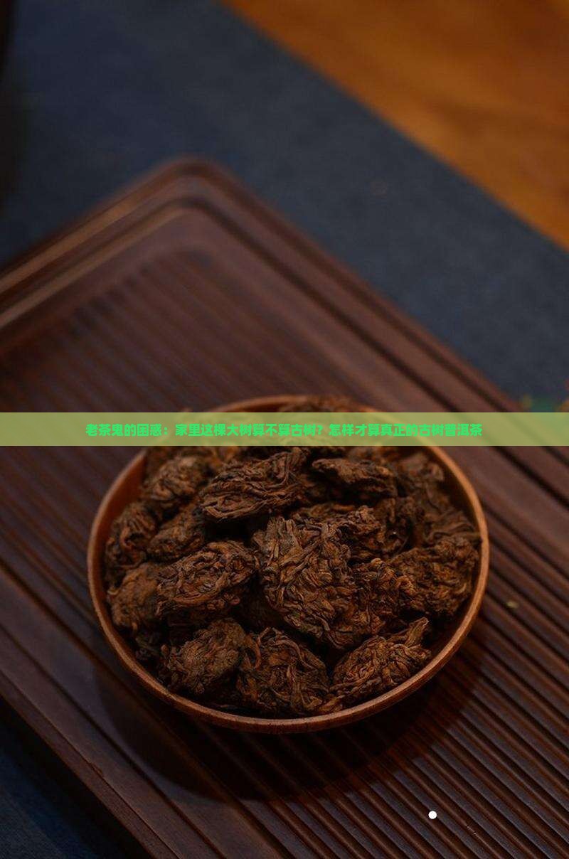 怎样才能称为古树普洱茶