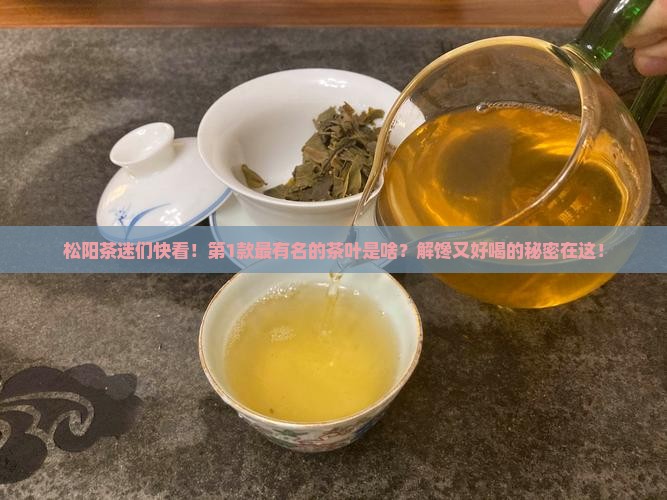 松阳什么茶叶最有名