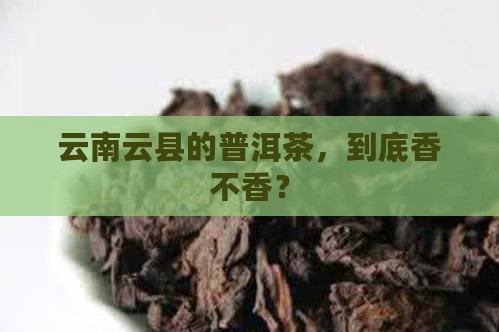 云南云县普洱茶怎么样