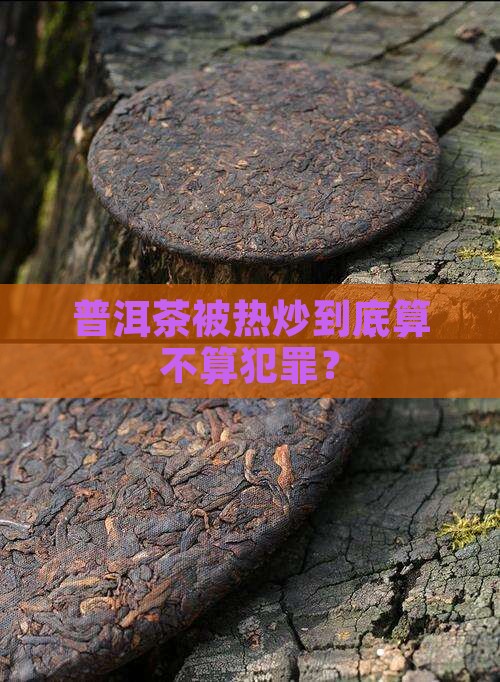 普洱茶炒作犯罪吗