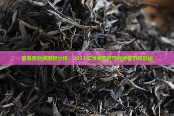 普洱茶消费规模分析