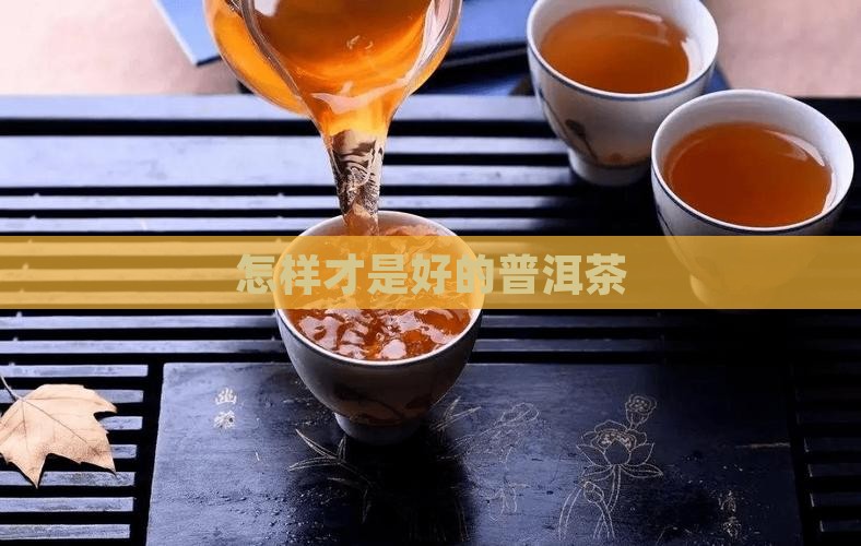 怎样的普洱茶好一点