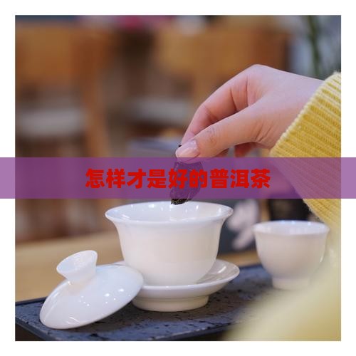 怎样的普洱茶好一点