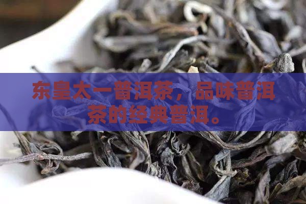 东皇太一普洱茶