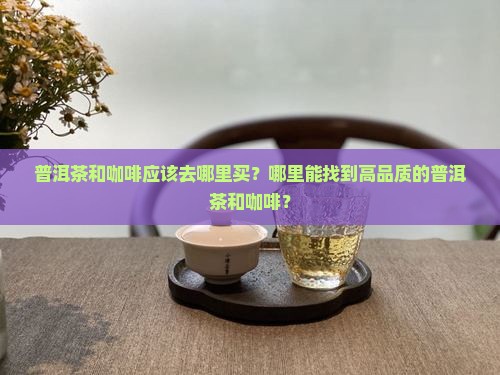 普洱茶咖在哪里买