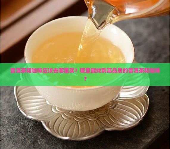 普洱茶咖在哪里买