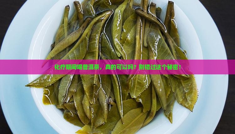 化疗期间可以喝普洱茶