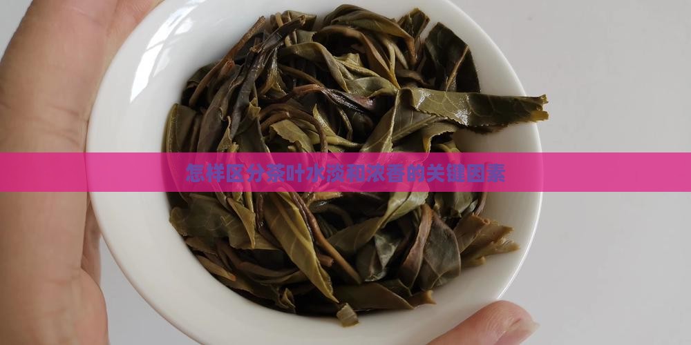 怎样区分茶叶水淡和浓