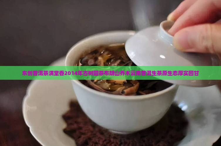 东创普洱茶满堂香