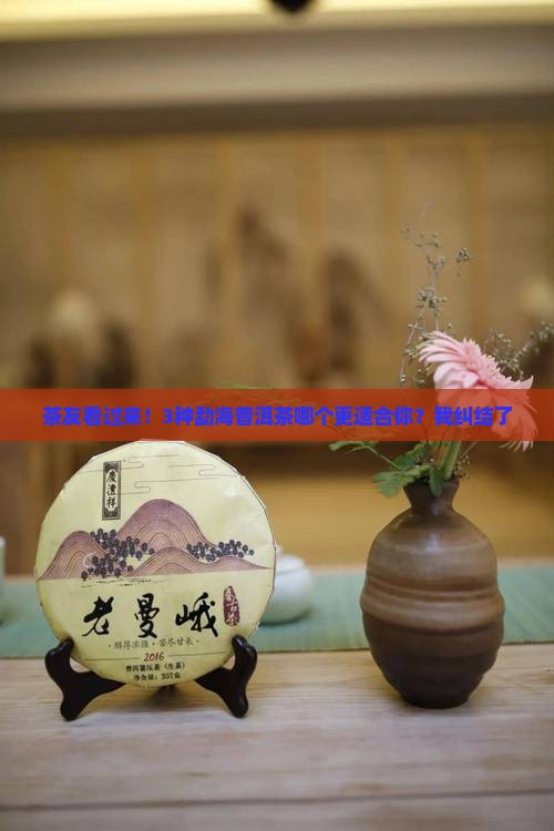碎银子有多少种的勐海普洱茶