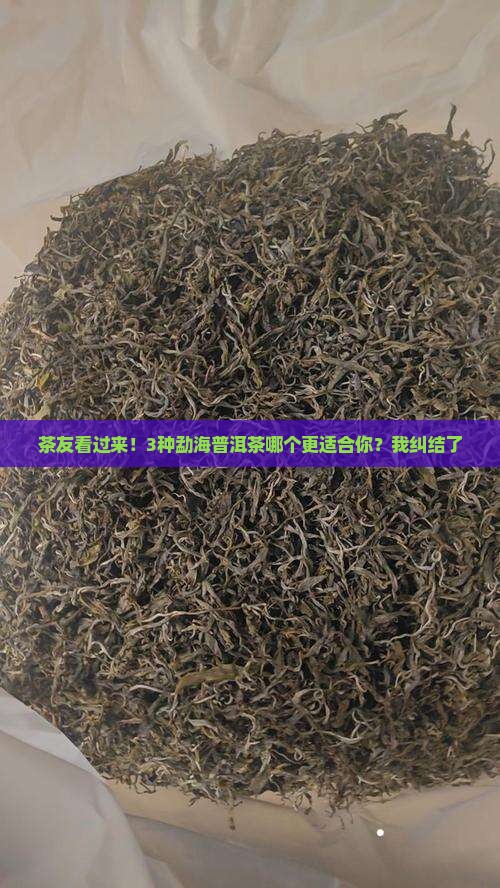 碎银子有多少种的勐海普洱茶