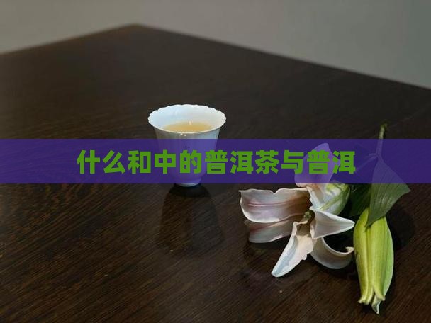什么是正中的普洱茶