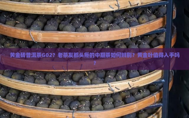黄金砖普洱茶G02