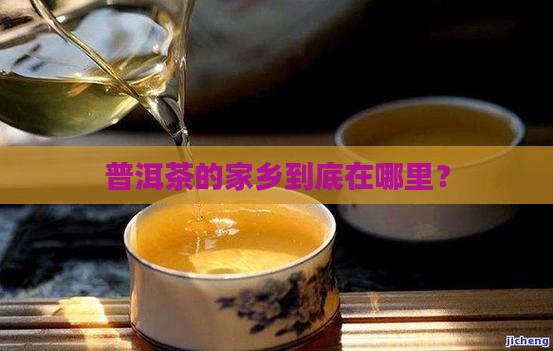 普洱茶主要产地在哪儿