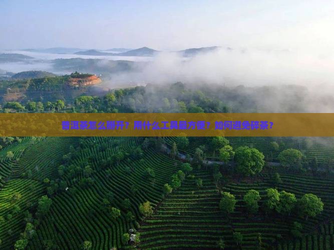 普洱茶用什么掰开