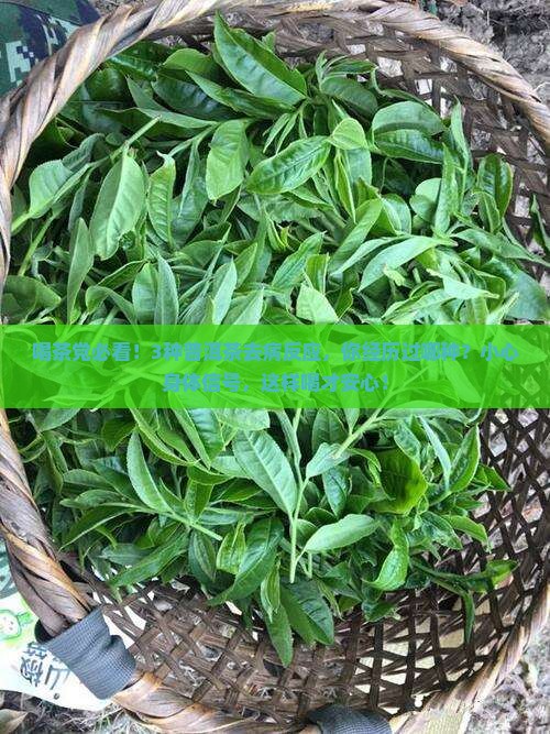 普洱茶去病反应