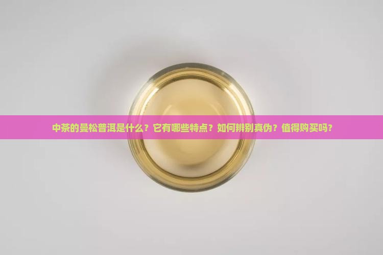 中茶的曼松普洱
