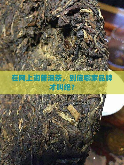 网购哪种普洱茶品牌好 网购哪种普洱茶品牌好