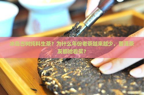 冰岛古树纯料生茶