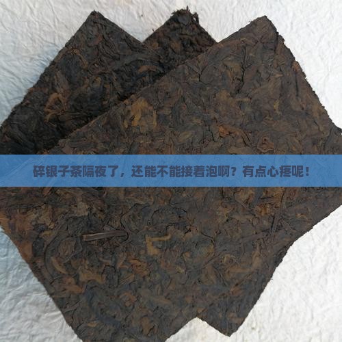 碎银子茶隔夜还能泡吗