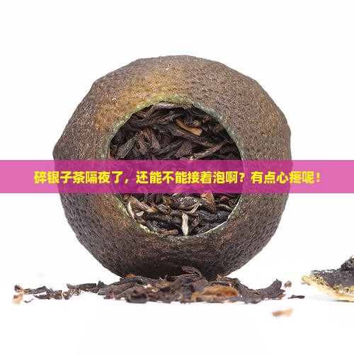 碎银子茶隔夜还能泡吗