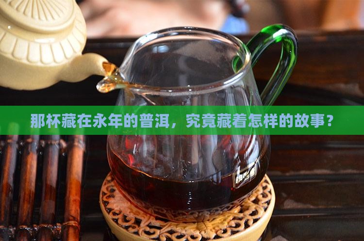 永年普洱人家生茶